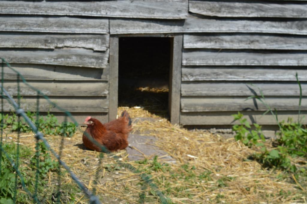 Drosnay Au Passage Des Grues B&B 외부 사진
